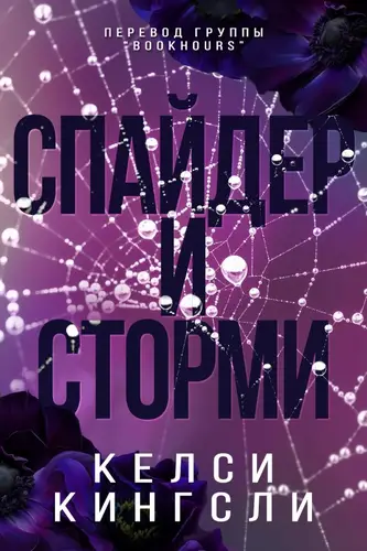 Спайдер и Сторми