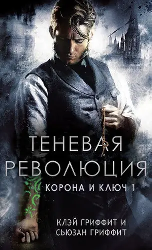 Постер книги Теневая революция