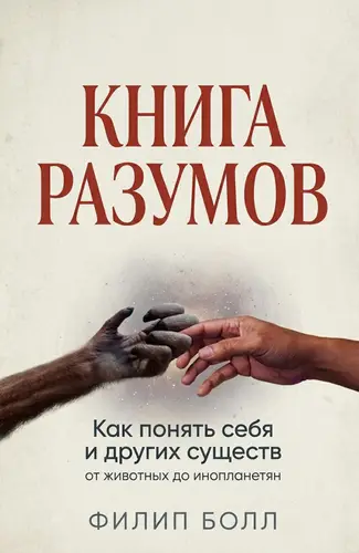 Постер книги Книга разумов