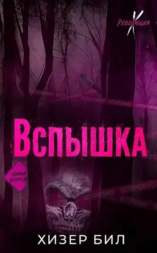 Постер книги Вспышка