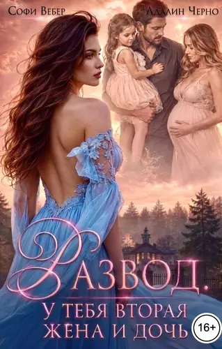 Постер книги Развод. У тебя вторая жена и дочь