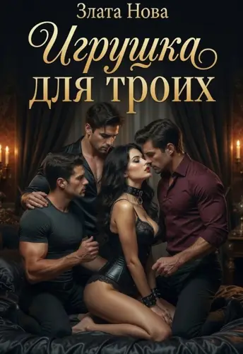 Постер книги Игрушка для троих