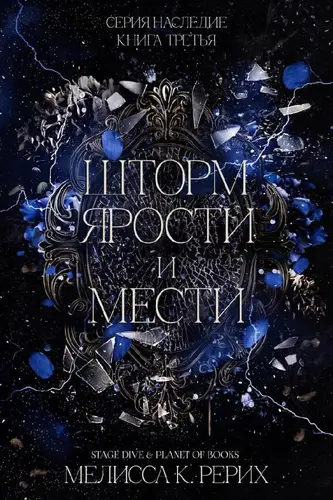 Постер книги Шторм ярости и мести