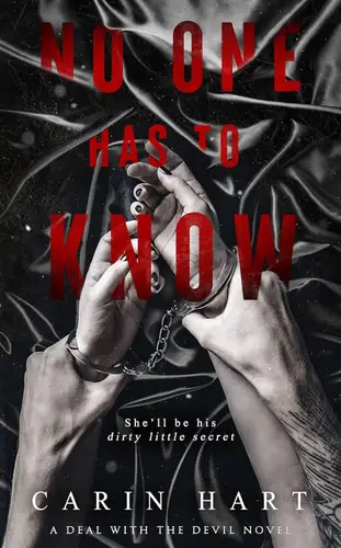 Постер книги Никто не должен знать