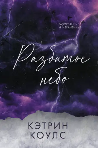 Постер книги Разбитое небо
