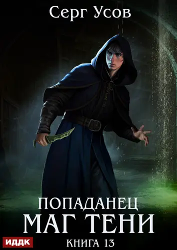 Попаданец. Маг Тени. Книга 13