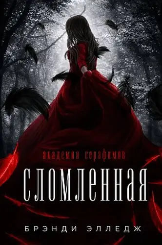 Постер книги Сломленная
