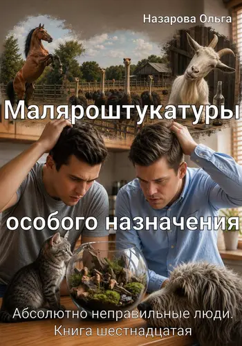 Постер книги Маляроштукатуры особого назначения