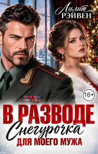 Постер книги В разводе. Снегурочка для моего мужа
