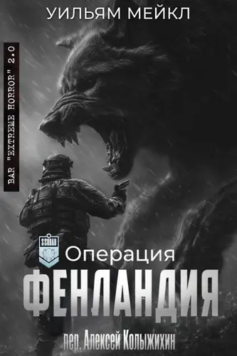 Постер книги Операция: Фенландия